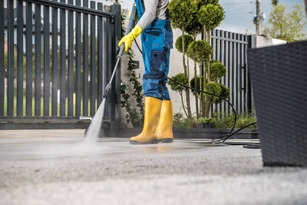 Best Affordable Pressure Washing  in Mount Vista, WA