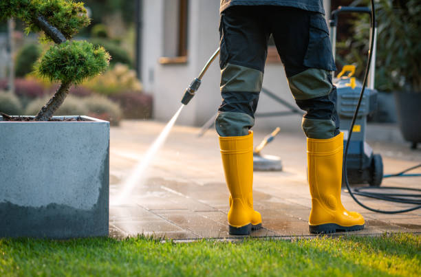 Best Roof Pressure Washing  in Mount Vista, WA